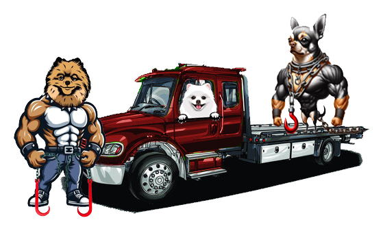 Cash Towing logo